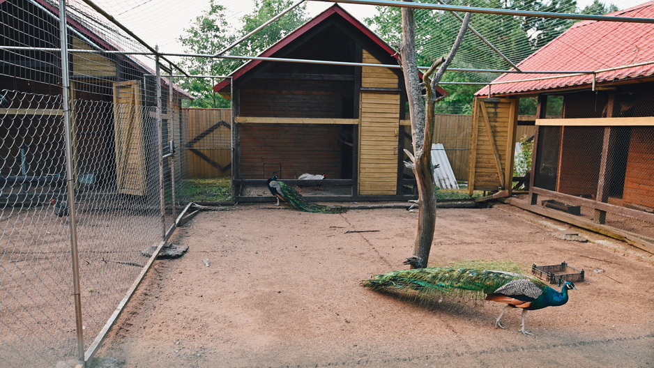 Berezok estate